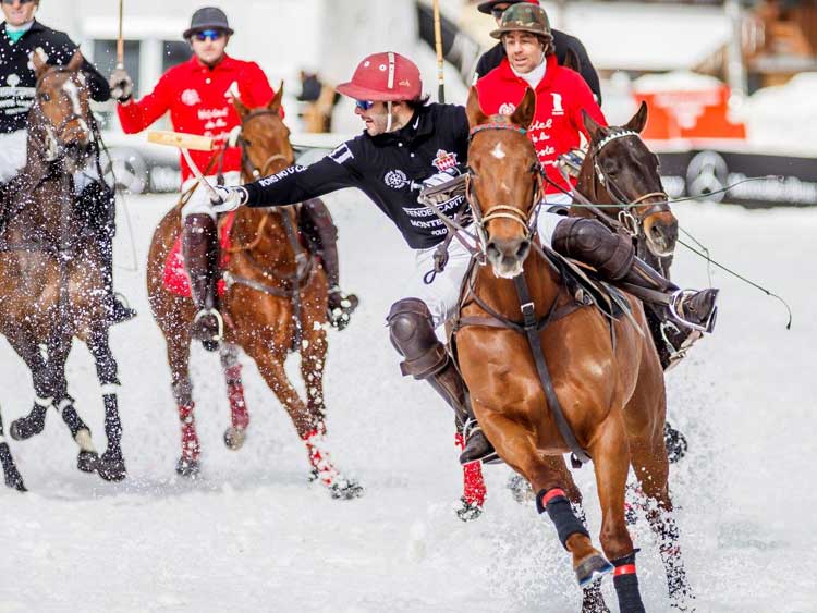 Cortina Italy - Polo In The Snow