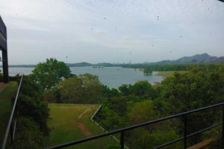 heritance Kandalama hotel review Sri Lanka - Gradens lake