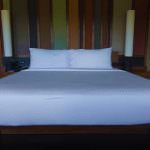 Jetwing Lake Hotel Dambula Sri Lanka Review - hotel room