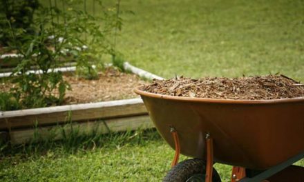 Beginner’s Guide – How To Choose The Right Mulching Blades