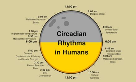 What You Need to Know About Circadian Rhythm