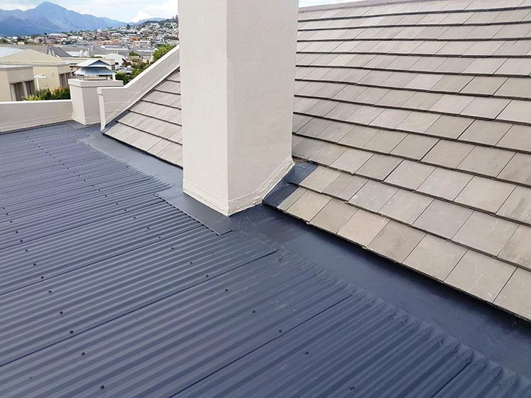 Is Your Roof In Santa Rosa Algae Resistant Or Not?