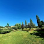 Fattoria Mansi Bernardini 2020 MenStyleFashion Luxury stay Tuscany Lucca (2)