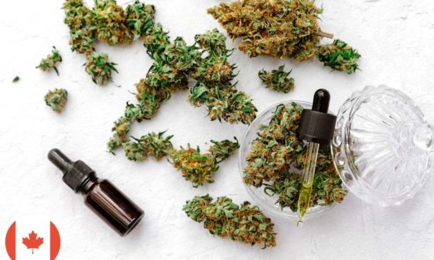 The Best Cannabis Dispensaries in Canada
