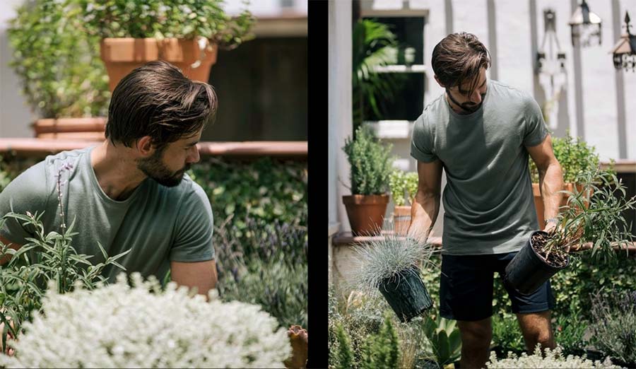 olivers