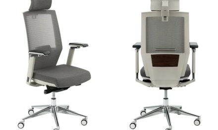 Flexispot BackSupport Office Chair BS10 – The Home Office Review
