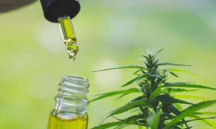 CBD – What is It and the Use in Your Everyday Life