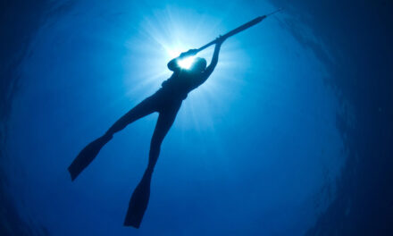 9 Tips For Enjoying Your Next Spearfishing Trip