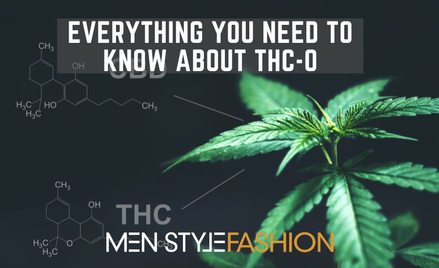 Everything You Need to Know About THC-O