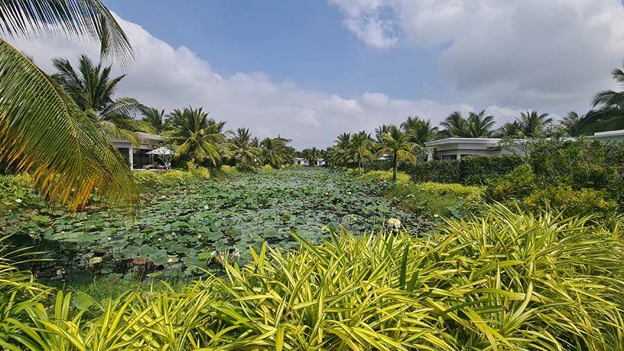 The Garden Villa water Lilly lake Melia Ho Tram Beach Resort Vietnam