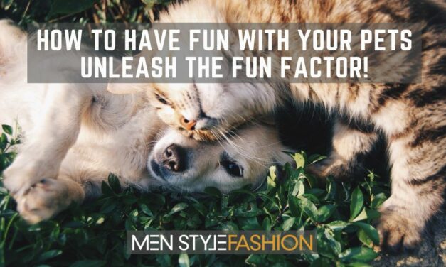 How to Have Fun with Your Pets: Unleash the Fun Factor!
